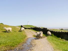 A view of sheep on a path with a lighthouse in the background at Beech in Ulverston