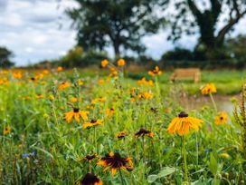 Andrus - Mayflower Meadow - North Yorkshire (incl. Whitby) - 1113291 - thumbnail photo 29