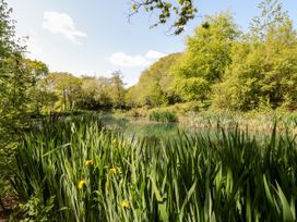 Woodpecker Lodge - Devon - 1115759 - thumbnail photo 26