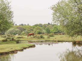 Lilac Cottage - Hampshire - 1116234 - thumbnail photo 39