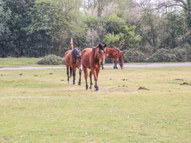 Lilac Cottage - Hampshire - 1116234 - thumbnail photo 38