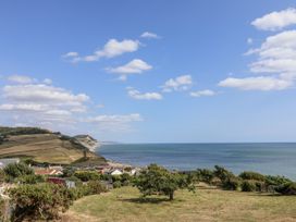 A coastline view with hills and houses at St Helena in Charmouth