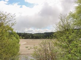 A landscape view of trees and sandy land under a cloudy sky at Coraldie in Laggan near Newtonmore
