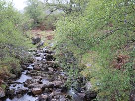 A small rocky stream with trees and shrubs around in a natural setting at Coraldie in Laggan near Newtonmore