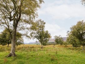 A grassy field with scattered trees under a cloudy sky at Coraldie in Laggan near Newtonmore