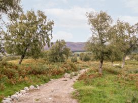 A dirt path winding through a grassy landscape with scattered trees and hills in the background at Coraldie Laggan near Newtonmore