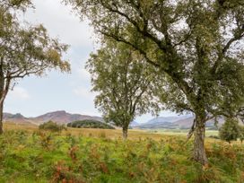 Trees in a grassy field with hills and a partly cloudy sky at Coraldie in Laggan near Newtonmore