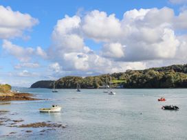 Ynys Castell - Anglesey - 1116445 - thumbnail photo 81
