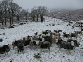 Marsh Garth - Lake District - 1116568 - thumbnail photo 37