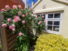 A garden with roses and a window at Cherry Tree Cottage, Woodbridge
