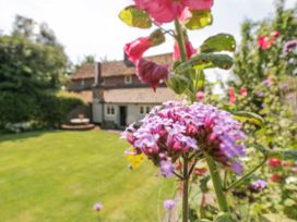 Shoemakers Cottage, Friston - Suffolk & Essex - 1117150 - thumbnail photo 38