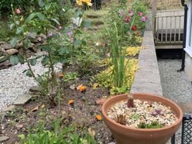 A garden with various flowers and a plant pot at Rose Cottage in Okehampton
