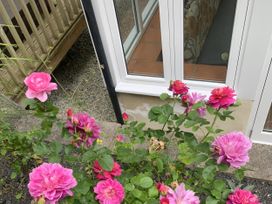 Roses near a window at Rose Cottage in Okehampton