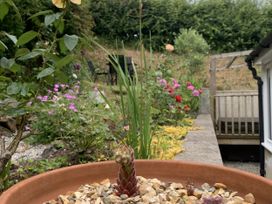 A garden with flowers and a succulent plant at Rose Cottage in Okehampton