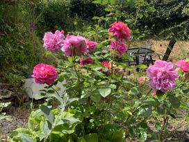 A garden with roses and a chair at Rose Cottage Okehampton
