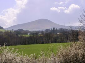 A mountain and green field with trees and bushes at Sunny Cottage in Brecon