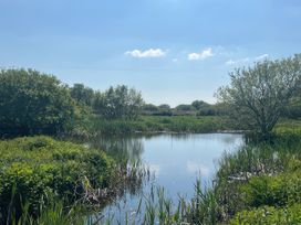 A pond surrounded by greenery at Cae Du in Dwyran near Niwbwrch (Newborough)