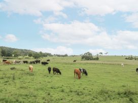 A field with grazing cows at The Old Tannery in Beaumaris