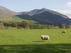 Taylor's Cottage - Lake District - 1119963 - thumbnail photo 40