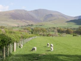 Taylor's Cottage - Lake District - 1119963 - thumbnail photo 41