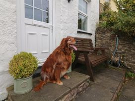 Potters Cottage - Devon - 1120123 - thumbnail photo 5