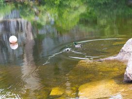 Branock, Tor Down Quarry - Cornwall - 1120222 - thumbnail photo 47