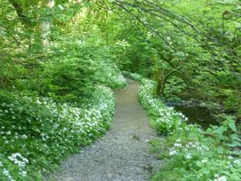 Middlehope Cottage - Yorkshire Dales - 1120717 - thumbnail photo 26