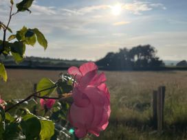 Oaklands - Dorset - 1121340 - thumbnail photo 25