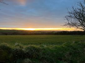 A grassy field with a sunset in the background and a tree on the right side at Y Gweithdy Rhos Eirin in Maenclochog