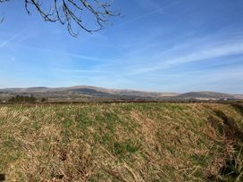 A grassy field with distant hills under a clear blue sky with tree branches in the foreground at Y Gweithdy Rhos Eirin in Maenclochog