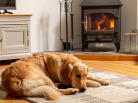 A dog lying on a rug near a fireplace at Hoppers Barn Pancrasweek near Holsworthy