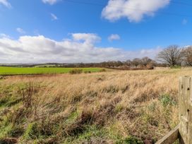 A field with grass and trees at No9 Budle Sands in Bamburgh