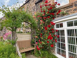 A garden with a bench under an arch covered in roses at Coble Cottage Craster