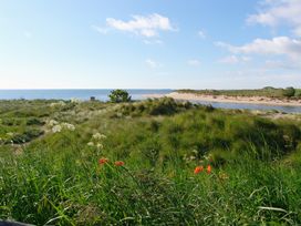A landscape with grass, flowers, water, and sand at Percy Cottages No4 in Alnmouth