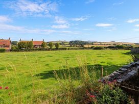 An outdoor view of houses and a green field at Links View in Embleton