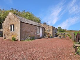A cottage with a patio and plants at Plumtree Cottage in Alnmouth