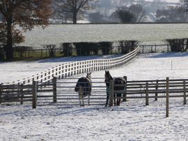 Palace Farmhouse - Herefordshire - 1122446 - thumbnail photo 69