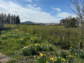 A garden with daffodils and a view of mountains at How Hill Farm Cottage, Greystoke