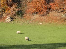 Porth -  - 1122790 - thumbnail photo 33