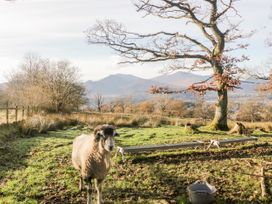 Lakeland View - Lake District - 1123577 - thumbnail photo 62