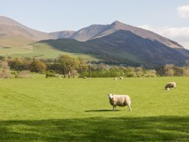 Lakeland View - Lake District - 1123577 - thumbnail photo 63