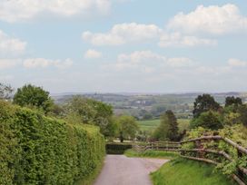 A road leading through greenery at Palace Studio in St Weonards