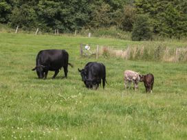 Harry's Lodge - Peak District & Derbyshire - 1123841 - thumbnail photo 24