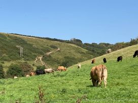 4 Cumberland Cottages - Devon - 1123859 - thumbnail photo 29