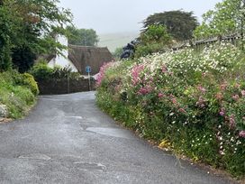A road with flowers alongside at 4 Cumberland Cottages Ringmore near Challaborough