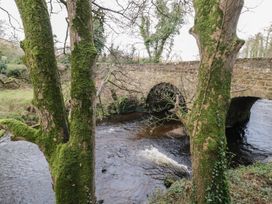 A moss covered tree in front of a stone arch bridge over a flowing river at Buttermilk Bridge in Dungiven