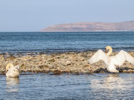 Ty Llawen - North Wales - 1123978 - thumbnail photo 37
