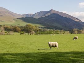 Scandale Bridge Cottage - Lake District - 1123990 - thumbnail photo 44