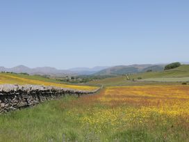 Willow - Lake District - 1124058 - thumbnail photo 25