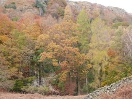 Rowan - Lake District - 1124060 - thumbnail photo 27